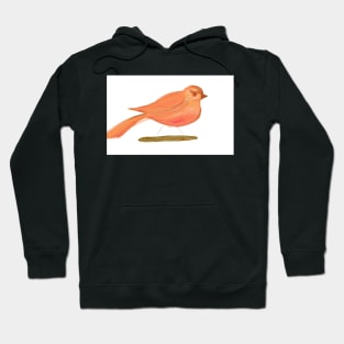 Cardinal Aviary Hoodie